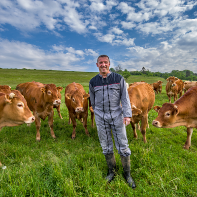 éleveur avec vaches